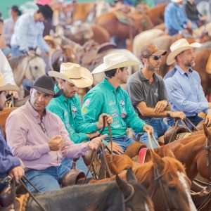 ABQM amplia programação e principais eventos da raça Quarto de Milha terão 14 dias de competições em 2026
