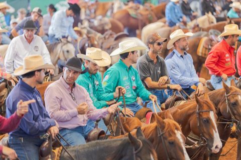 ABQM amplia programação e principais eventos da raça Quarto de Milha terão 14 dias de competições em 2026