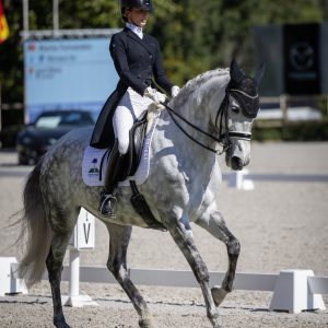 Com cavalos Lusitanos, brasileiros competiram no CDI4* de Alter, em Portugal, de olho no Mundial de Dressage