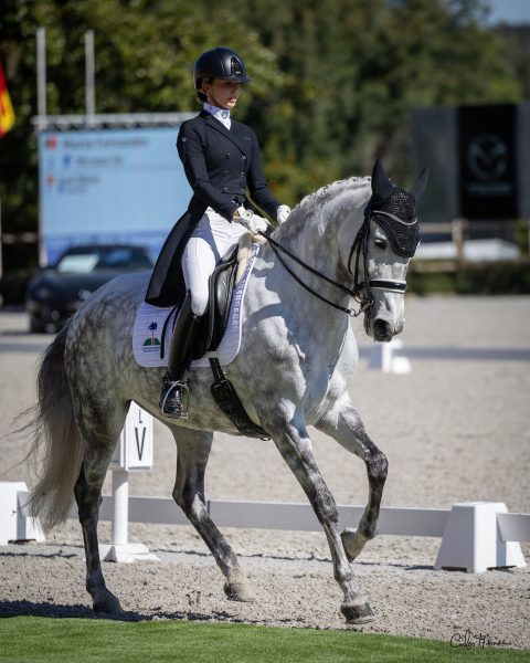 Com cavalos Lusitanos, brasileiros competiram no CDI4* de Alter, em Portugal, de olho no Mundial de Dressage