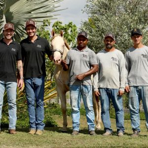 Haras Criola celebra quase três décadas de história em seu primeiro leilão oficial