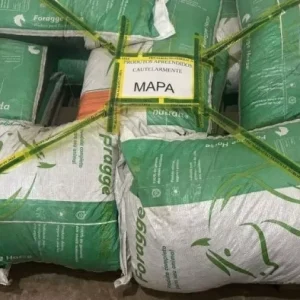 MPSP processa empresa de nutrição animal após mortes de cavalos em diferentes estados do Brasil
