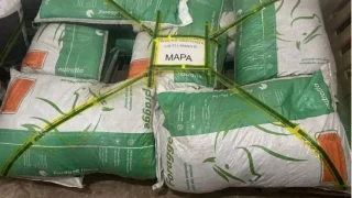 MPSP processa empresa de nutrição animal após mortes de cavalos em diferentes estados do Brasil