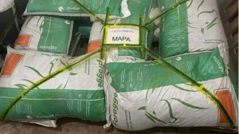 MPSP processa empresa de nutrição animal após mortes de cavalos em diferentes estados do Brasil