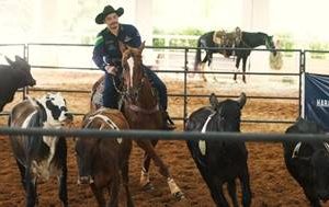 Mega Ranch Mangalarga 2026 realiza segunda etapa em Jaguariúna com R$ 30 mil em premiação