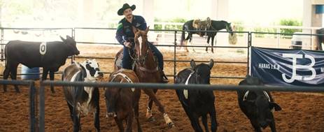 Mega Ranch Mangalarga 2026 realiza segunda etapa em Jaguariúna com R$ 30 mil em premiação