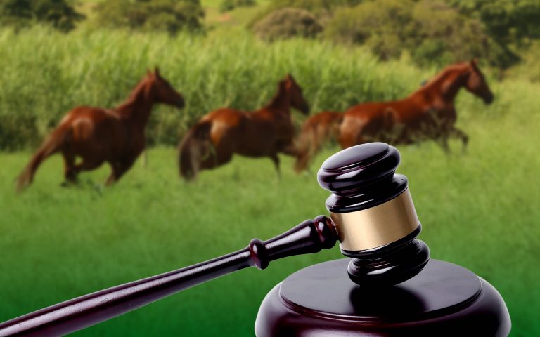 STF reforça constitucionalidade dos esportes equestres e amplia segurança jurídica para o setor no Brasil