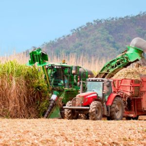 Agro paulista mantém força nas exportações e amplia volume embarcado em 2026