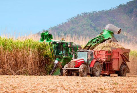Agro paulista mantém força nas exportações e amplia volume embarcado em 2026