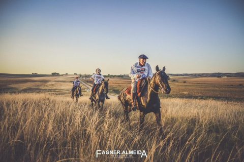 Cavalo Crioulo ganha destaque no Campeonato Gaúcho de Enduro Equestre da FGEE