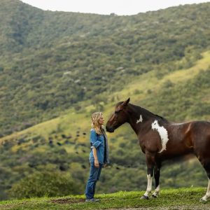 Cavalos e emoções humanas: o que a ciência vem descobrindo sobre essa conexão?
