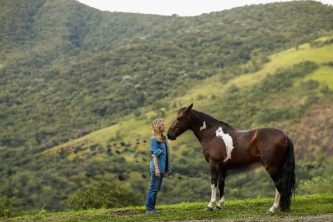 Cavalos e emoções humanas: o que a ciência vem descobrindo sobre essa conexão?