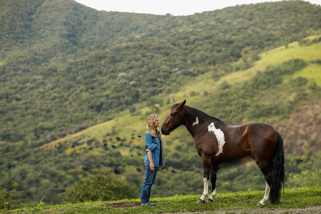 Cavalos e emoções humanas: o que a ciência vem descobrindo sobre essa conexão?