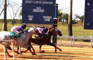 Granite Soul e Liv Senator SAM são coroados Rei e Rainha da Velocidade no Jockey Club de Sorocaba