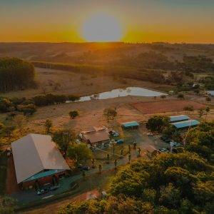Haras BJ Prime reafirma excelência genética com resultados de destaque no Rock Star Buckle 2026