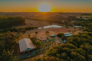 Haras BJ Prime reafirma excelência genética com resultados de destaque no Rock Star Buckle 2026