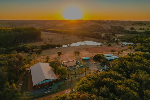 Haras BJ Prime reafirma excelência genética com resultados de destaque no Rock Star Buckle 2026
