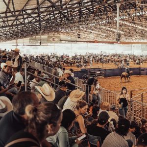 Inscrições abertas para o 49º Campeonato Nacional do Quarto de Milha