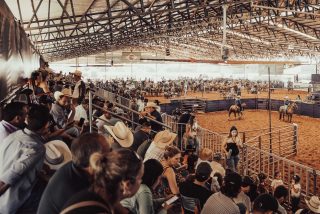 Inscrições abertas para o 49º Campeonato Nacional do Quarto de Milha