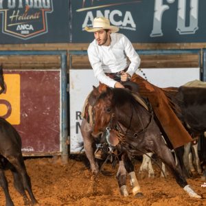 Potro do Futuro & Campeonato Nacional One King Cole ANCA 2026 abre o ano hípico da Apartação brasileira