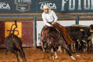 Potro do Futuro & Campeonato Nacional One King Cole ANCA 2026 abre o ano hípico da Apartação brasileira