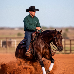 Sistema locomotor: os desafios silenciosos que comprometem a longevidade esportiva dos cavalos
