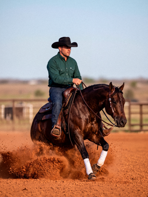 Sistema locomotor: os desafios silenciosos que comprometem a longevidade esportiva dos cavalos