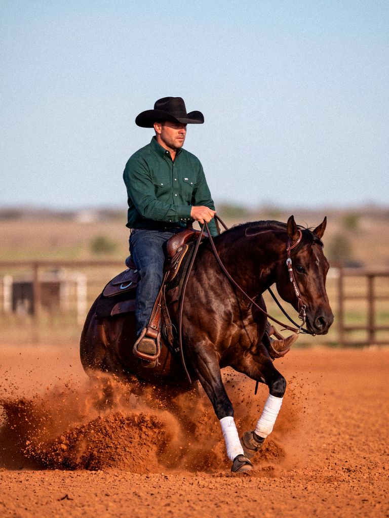 Sistema locomotor: os desafios silenciosos que comprometem a longevidade esportiva dos cavalos