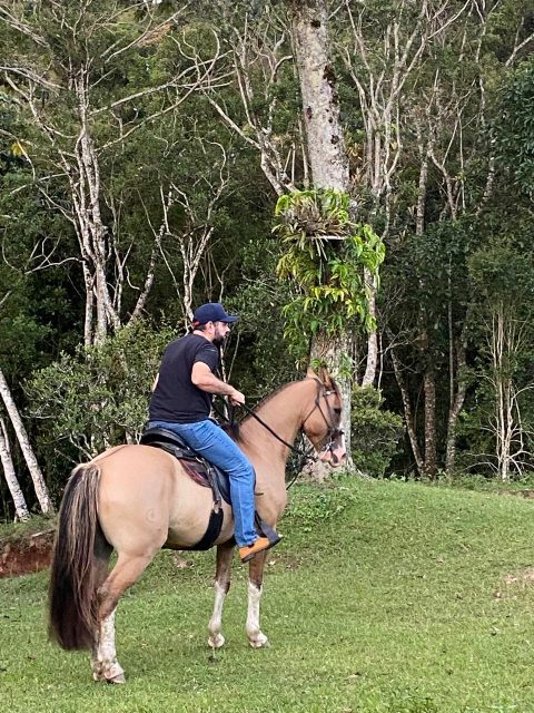 TropaScore lança Genis, primeira IA brasileira de avaliação de cavalos