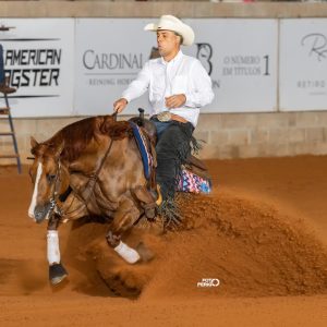 XXXVII ANCR Futurity Maia Reining Horses abre programação que reúne cinco grandes competições em Avaré