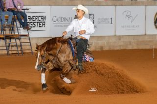 XXXVII ANCR Futurity Maia Reining Horses abre programação que reúne cinco grandes competições em Avaré
