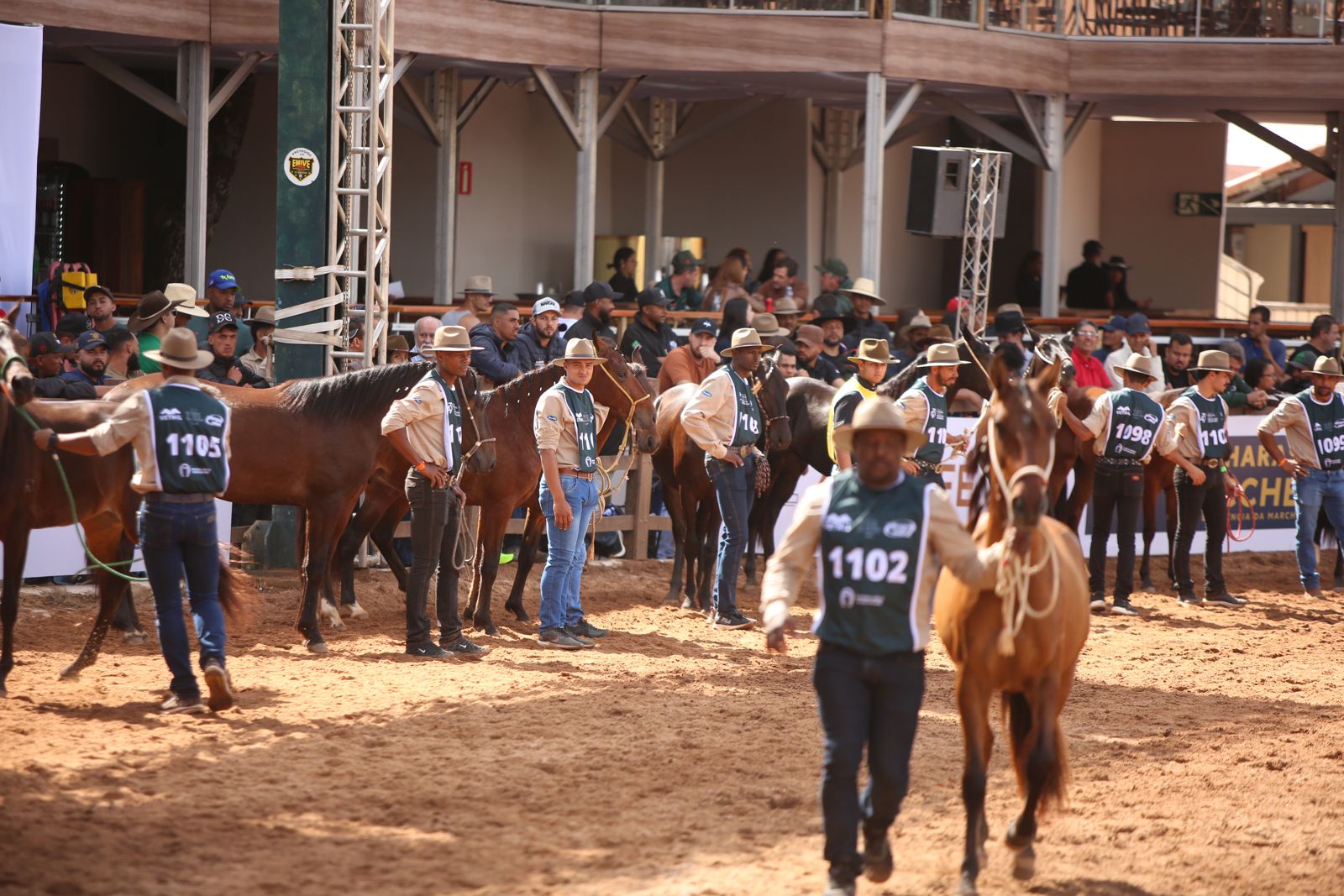 43ª Exposição Nacional do Cavalo Mangalarga Marchador reúne 1.639 animais e 552 expositores em Belo Horizonte