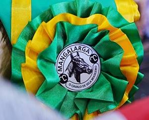 48ª Exposição Nacional do Cavalo Mangalarga encerra edição histórica em Tatuí e reforça representação da raça no Brasil