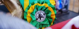 48ª Exposição Nacional do Cavalo Mangalarga encerra edição histórica em Tatuí e reforça representação da raça no Brasil