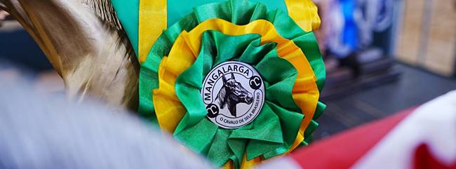 48ª Exposição Nacional do Cavalo Mangalarga encerra edição histórica em Tatuí e reforça representação da raça no Brasil