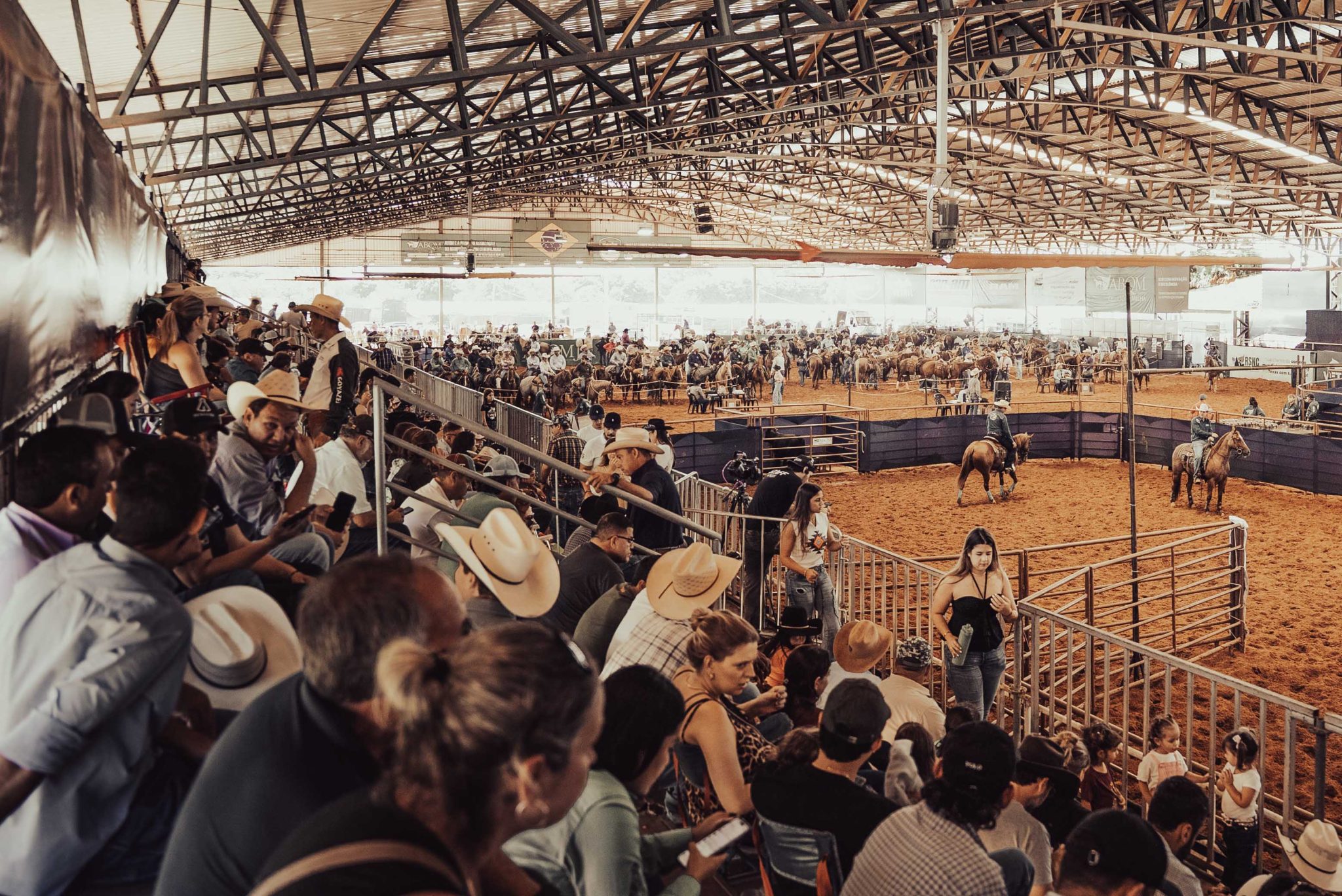 49º Campeonato Nacional do Quarto de Milha começa em Araçatuba com provas de Rédeas e Working Cow Horse