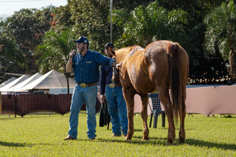 ABQM promove Workshop sobre a raça Quarto de Milha para participantes do Equo Quali PM durante o Campeonato Nacional