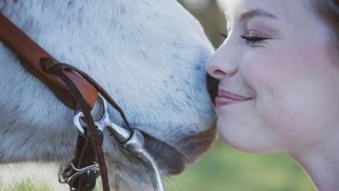 Como estimular bons comportamentos no cavalo durante o treinamento?