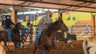 Mega Ranch Mangalarga reúne público e define campeões da terceira etapa de 2026