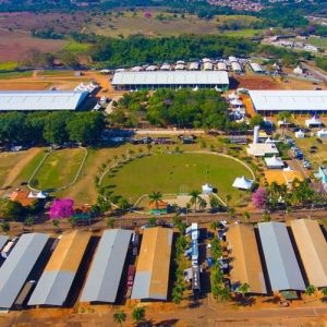 Nacional da ABQM impulsiona mercado equestre com agenda de leilões e grandes oportunidades de negócios