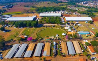 Nacional da ABQM impulsiona mercado equestre com agenda de leilões e grandes oportunidades de negócios