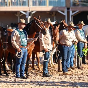 Nacional do Mangalarga Marchador reúne 1,5 mil animais e distribui R$ 1,2 milhão