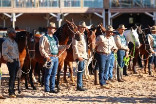Nacional do Mangalarga Marchador reúne 1,5 mil animais e distribui R$ 1,2 milhão