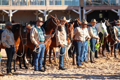 Nacional do Mangalarga Marchador reúne 1,5 mil animais e distribui R$ 1,2 milhão