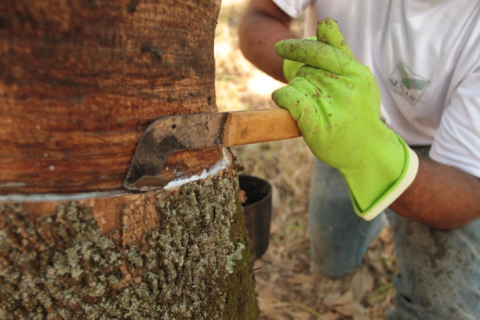 Preço de importação da borracha natural avança 7,5% em junho