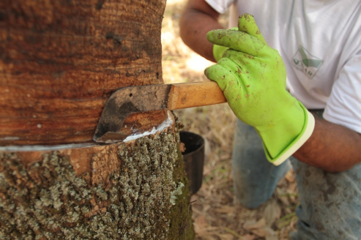 Preço de importação da borracha natural avança 7,5% em junho