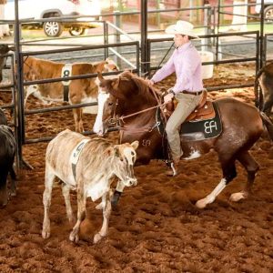 Ranch Sorting movimenta programação da 48ª Exposição Nacional do Cavalo Mangalarga neste sábado