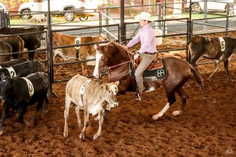 Ranch Sorting movimenta programação da 48ª Exposição Nacional do Cavalo Mangalarga neste sábado