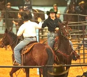 São João da Boa Vista recebe terceira etapa do Mega Ranch Mangalarga 2026