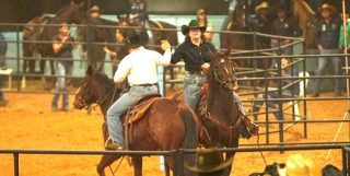 São João da Boa Vista recebe terceira etapa do Mega Ranch Mangalarga 2026